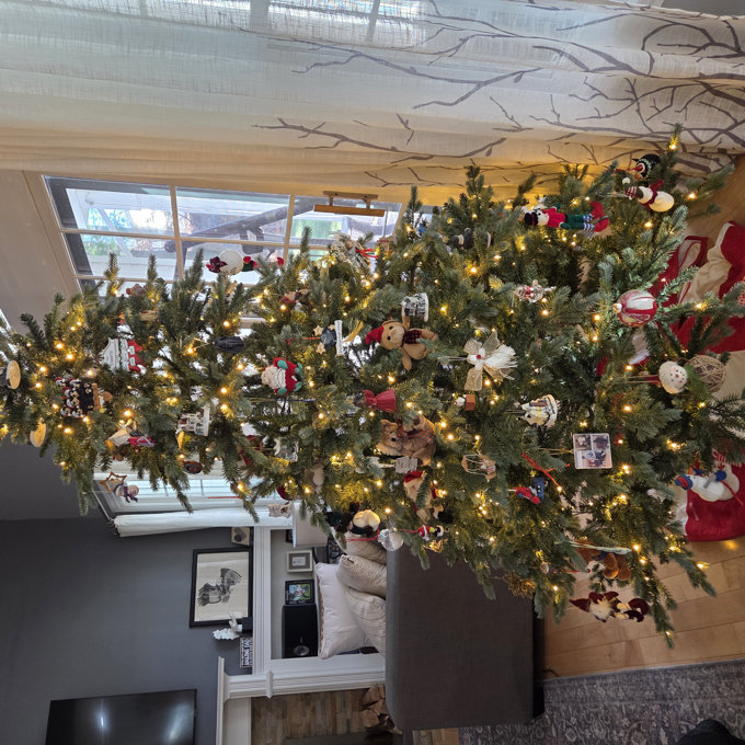 Birch Lane™ 7.5' Lighted Artificial Fir Christmas Tree & Reviews